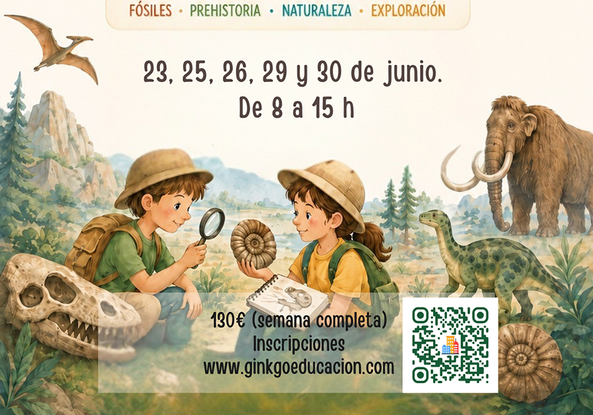 Escola d'Estiu, Museu d'Història Natural de la Universitat de València