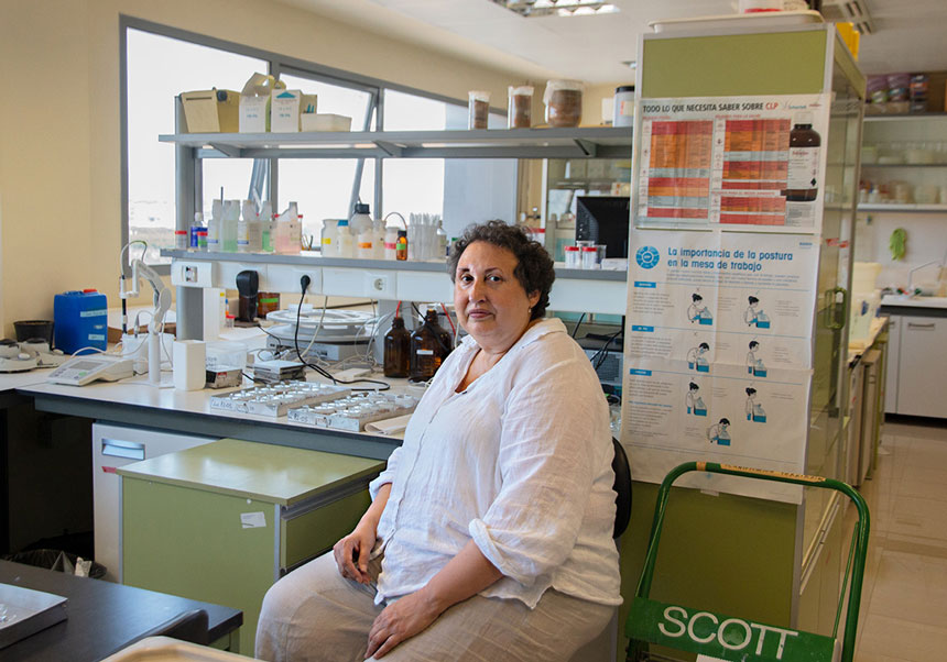 Yolanda Picó en su laboratorio el CIDE