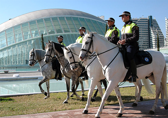 Policies officers on horseback