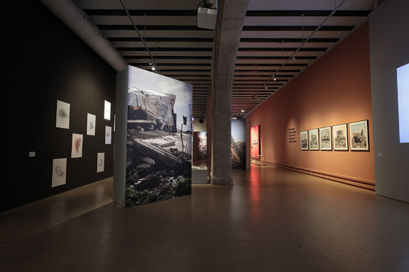 Naixen oliveres a Gaza - imatge 0