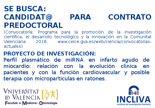 Image de la noticia