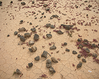 Representative picture of the project
