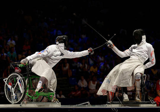 Adapted fencing.