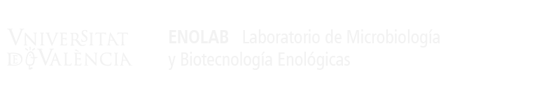 Logo del portal