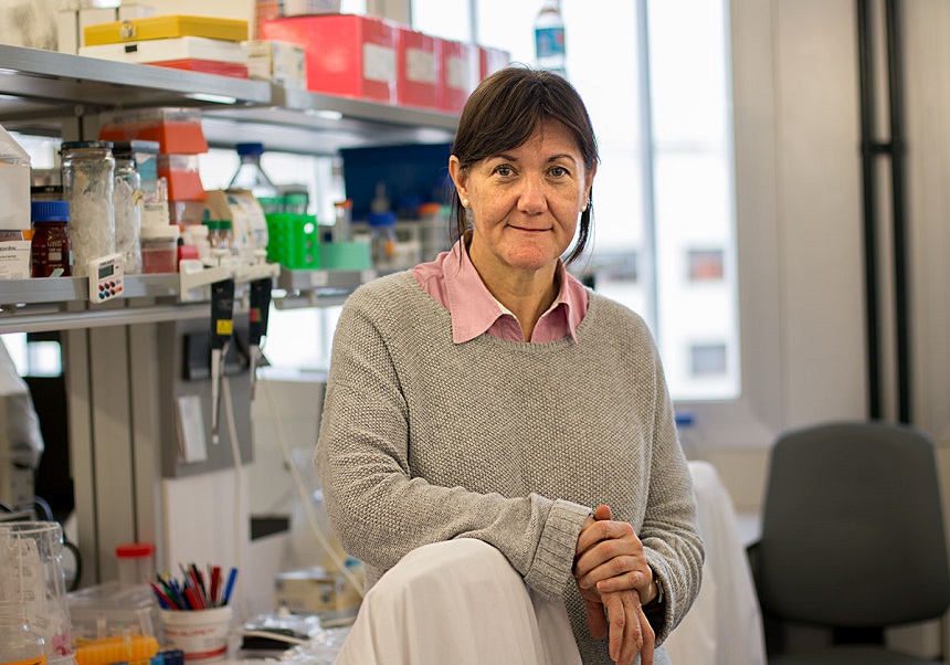 La profesora Isabel Fariñas premio Nacional de Investigación 2024