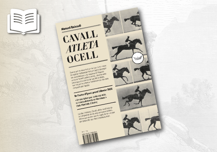 Portada de la novel·la 