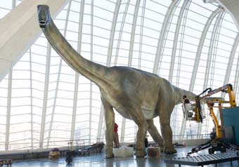 Losillasaurus.