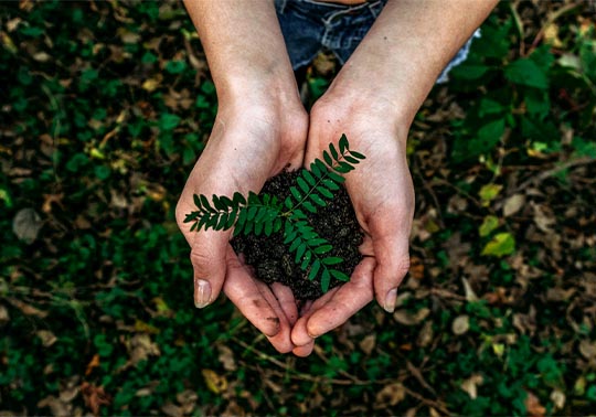 Subvenciones en régimen de concurrencia competitiva para la realización de proyectos que contribuyan a implementar el Plan Nacional de Adaptación al Cambio Climático 2021-2030 en el ejercicio 2023.