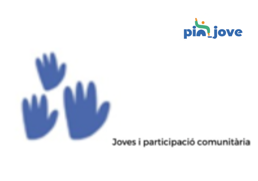 PinJove 2 Càtedra Joventut UV