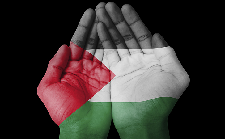 Mans amb la bandera palestina