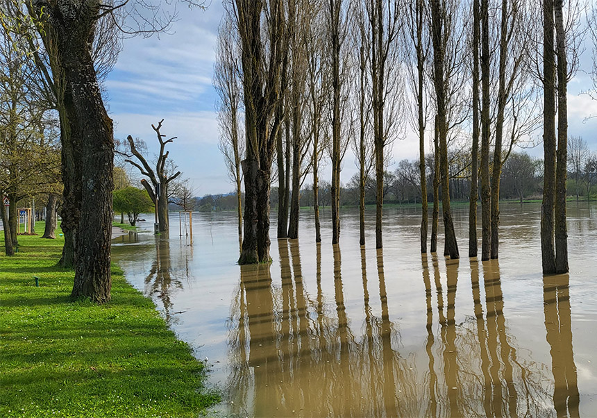 Detall del cartell del seminari.