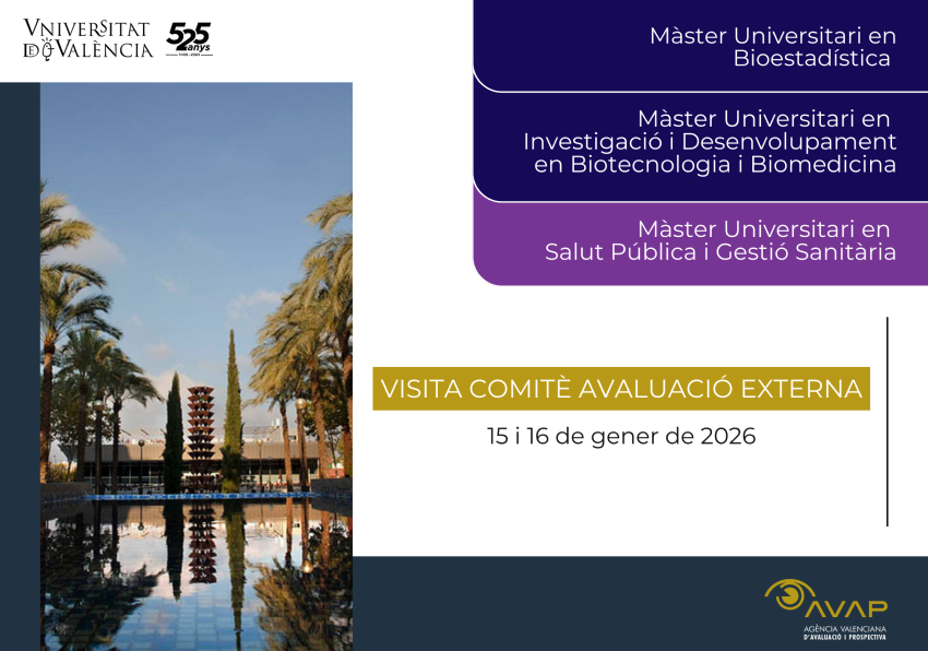 Visita comité evaluación externa