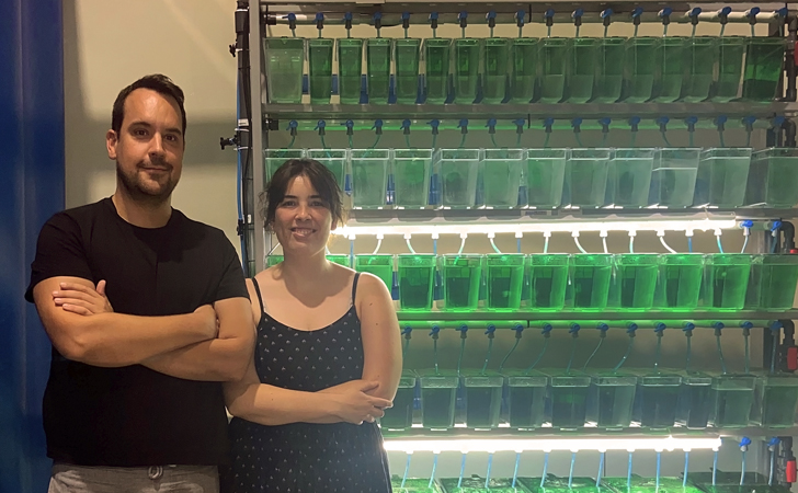 Investigadores de la UV