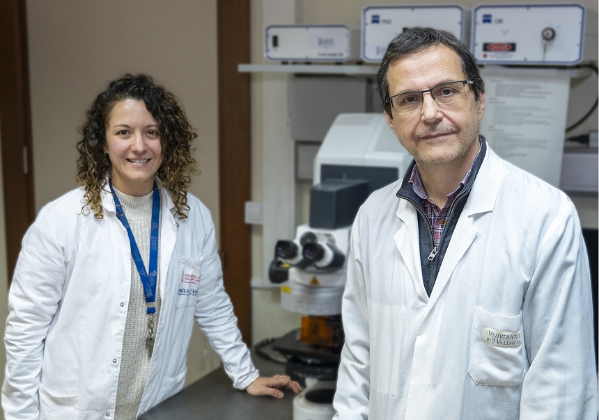 Rubén Artero, catedràtic de Genètica de la Universitat de València; i Ariadna Bargiela, investigadora de l’Institut d’Investigació Sanitària INCLIVA.