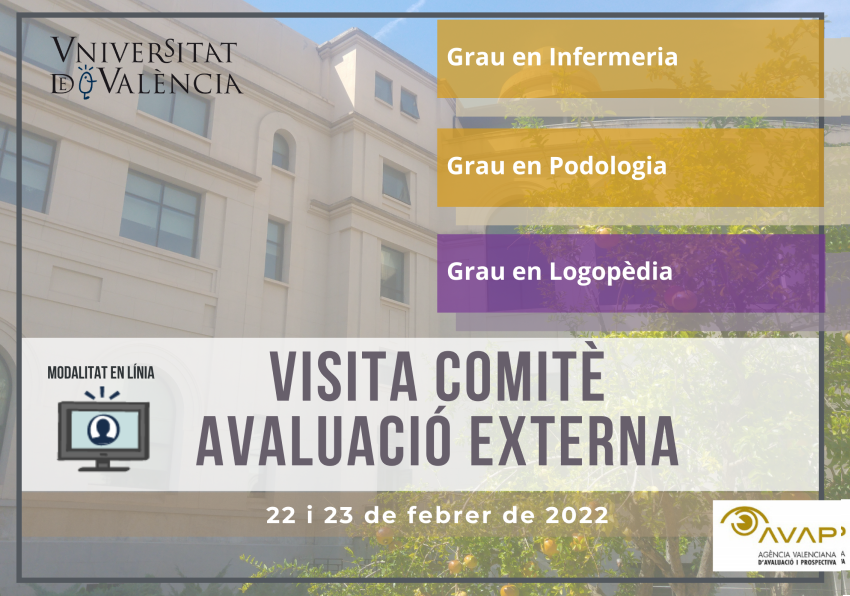 Visita comité evaluación externa