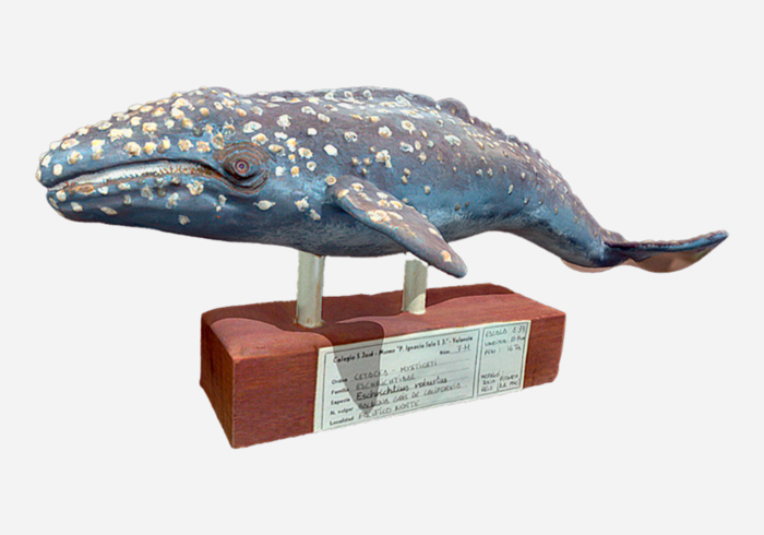 La colección de esculturas de Julio Pitarch Reig - Julio