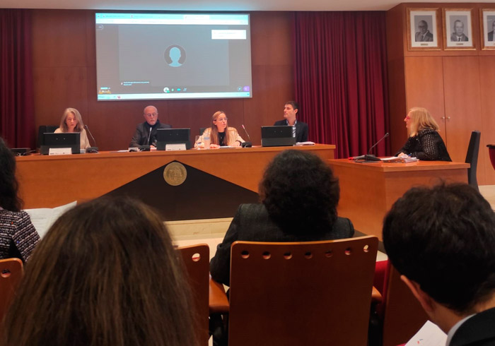 VI Seminario AEPDIRI (Sevilla)