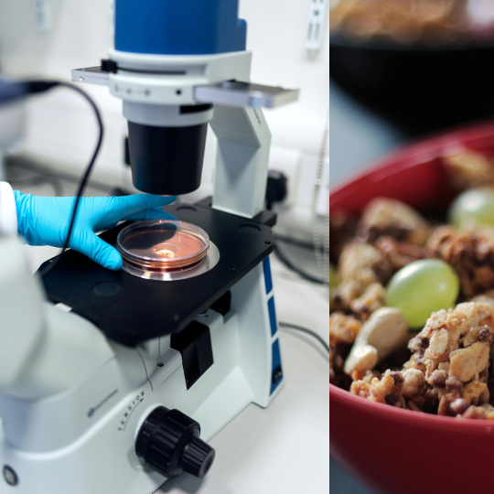 Representative picture of the project