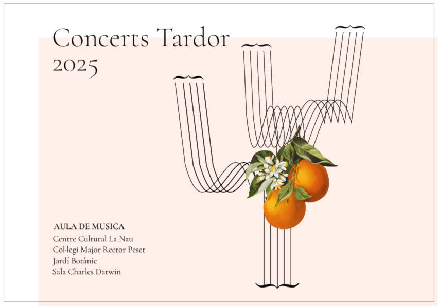 Graphic Picture of the Autumn Concerts 2025.