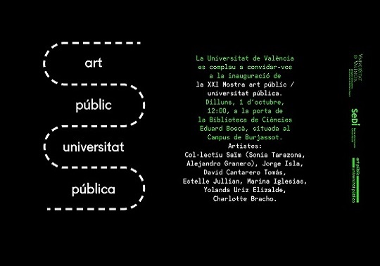 art públic universitat pública