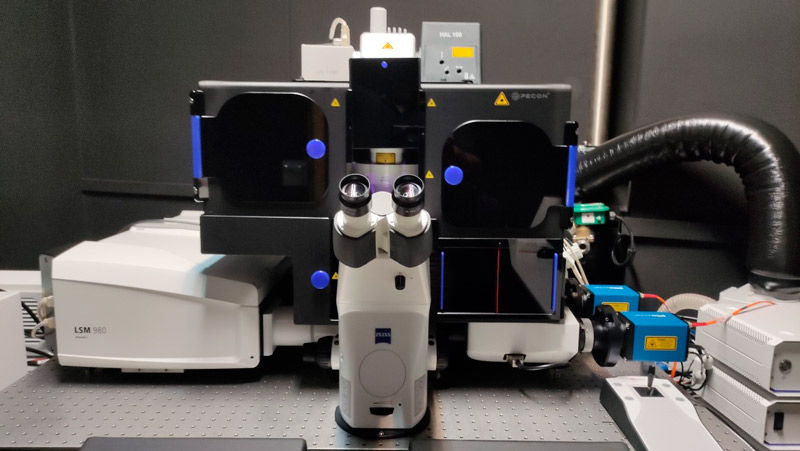 ZEISS LCS 980