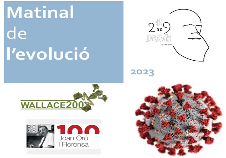 Matinal de la evolución