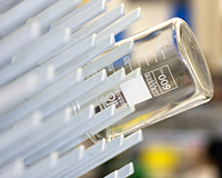 Representative picture of the project