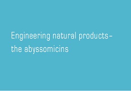 Engineering natural products– the abyssomicins