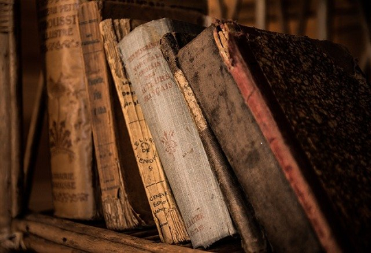 Premis Carme Miquel. Foto amb llibres
