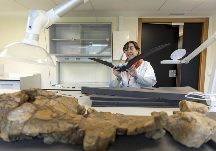 Anna Garcia-Forner, directora del Museu d'Història Natural UV.