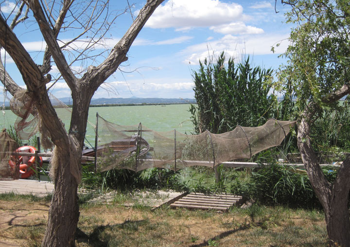 Imatge d'arxiu de l'Albufera.