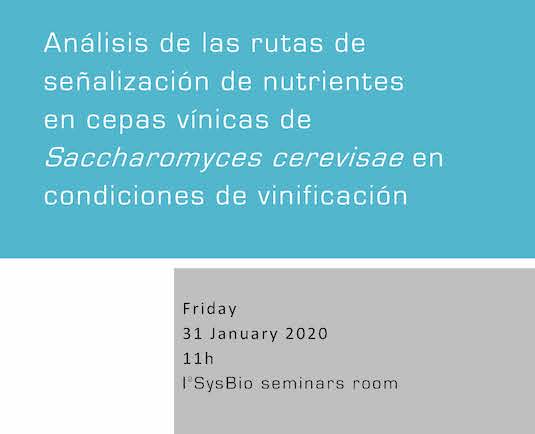 Análisis de las rutas de señalización de nutrientes en cepas vínicas de Saccharomyces cerevisae en condiciones de vinificación