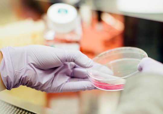 Cellular Signaling