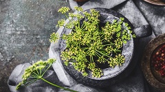Plantes aromàtiques