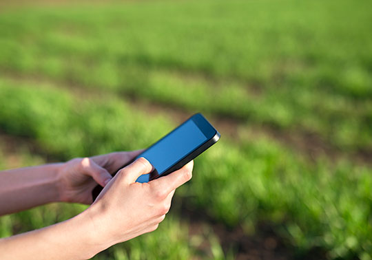 Cooperativisme agroalimentari