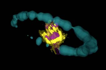 Imatge de la radiografia de la supernova.