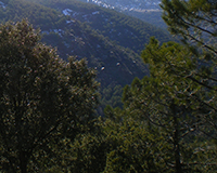 Representative picture of the project