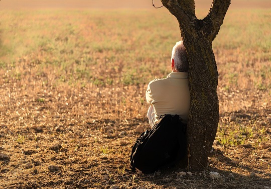 Persona solitaria sentada apoyada en un árbol