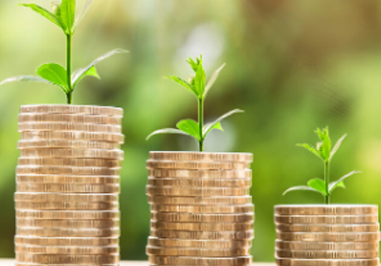 Webinar “Els impostos especials i les cooperatives agroalimentàries”