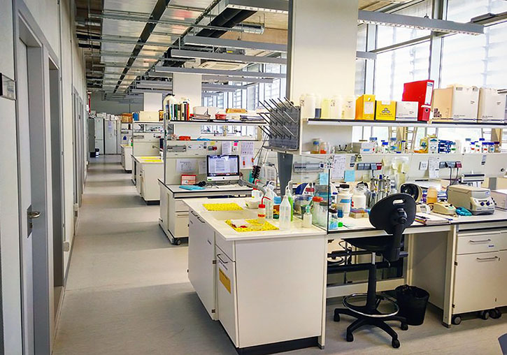 laboratorio en el I2SysBio
