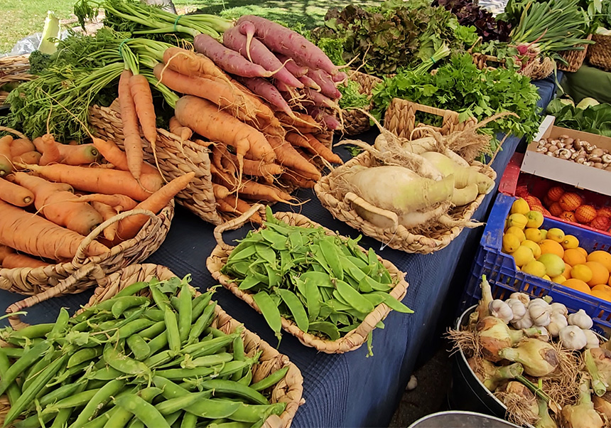 Productos agroecológicos de la Cistella Responsable