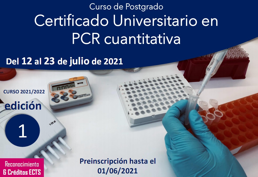 Image de la noticia
