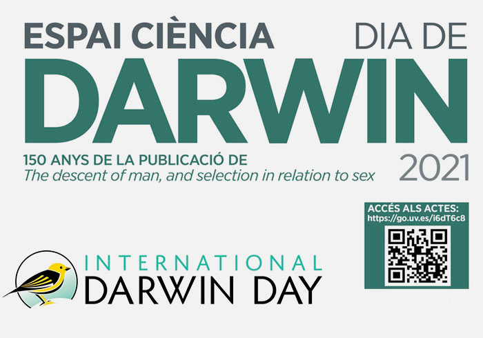 Dia Darwin