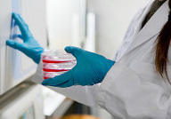 Laboratori UV