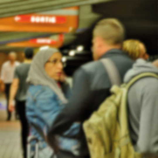 Imatge representativa del projecte