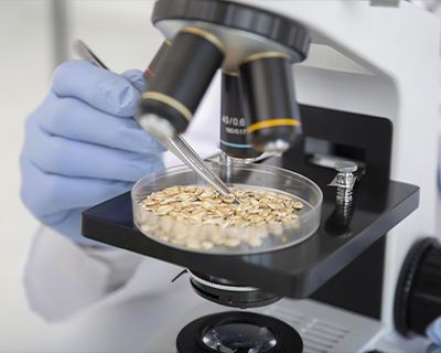 Representative picture of the project