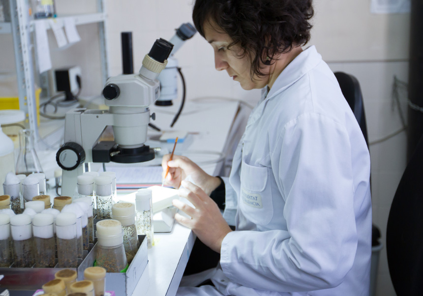 Investigadora