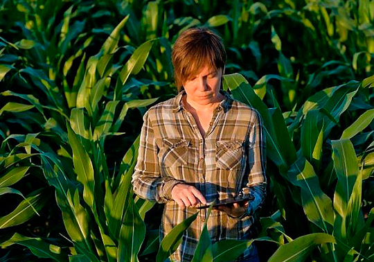 Imagen mujer en el campo