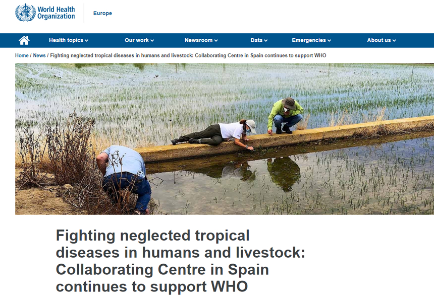 Article on the WHO's website