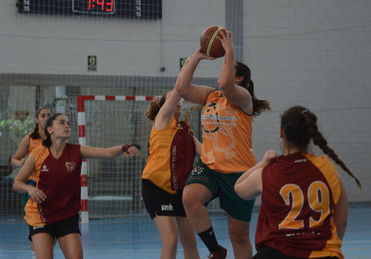 L'equip de bàsquet femení de la UV s'ha proclamat campió autonòmic.